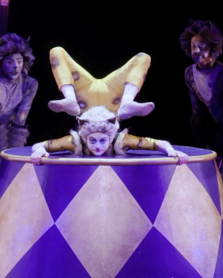Circus CATS