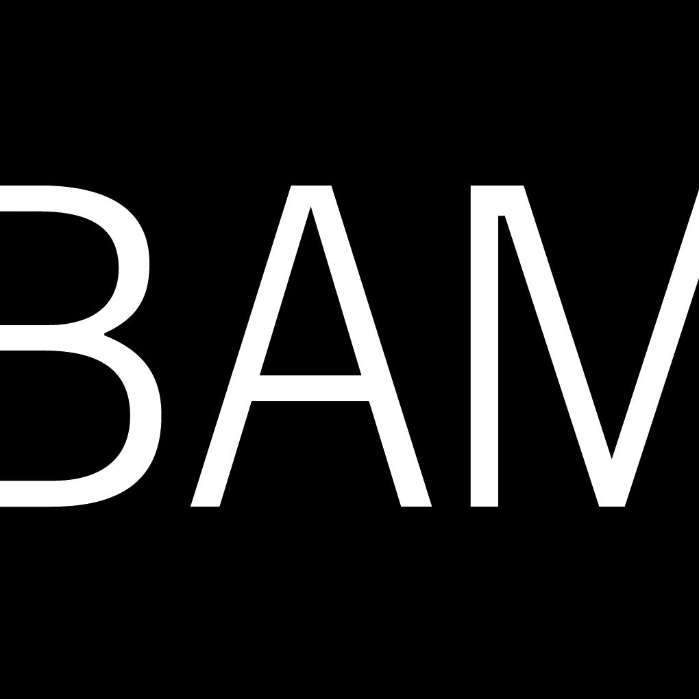 BAM (Brooklyn Academy of Music)