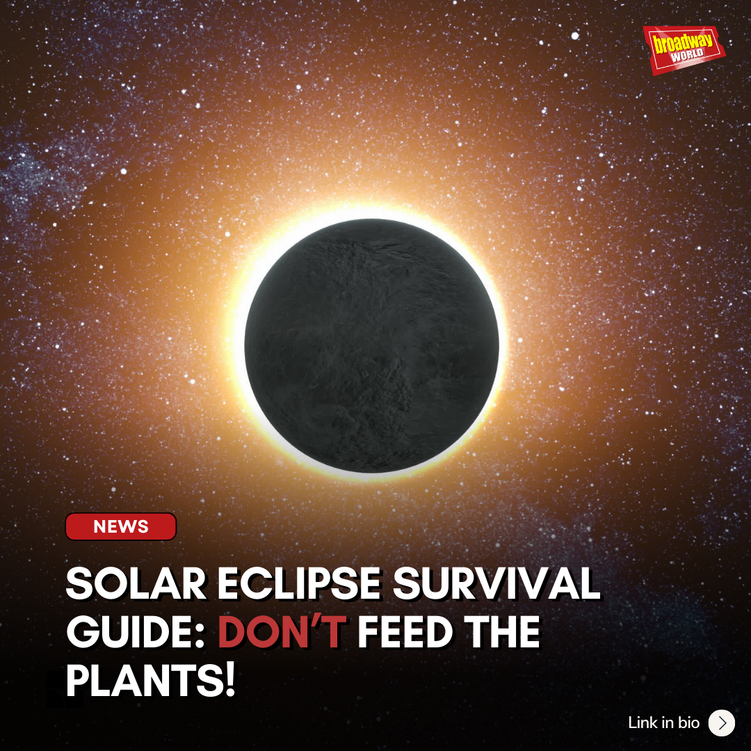 Solar Eclipse Survival Guide