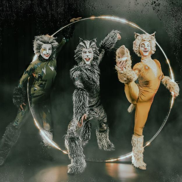 BWW Q&A: Sylvia Hernandez-DiStasi & Amanda Crockett of CATS at Paramount Theatre Interview