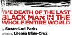 The Death of the Last Black Man in the Whole Entire World