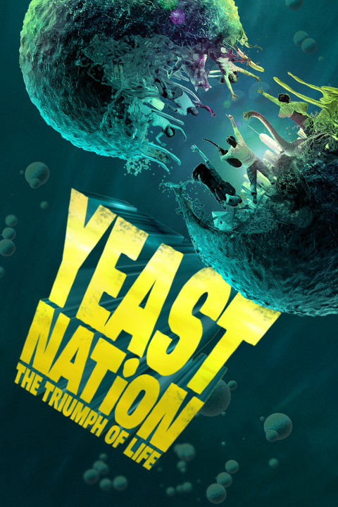 Yeast Nation