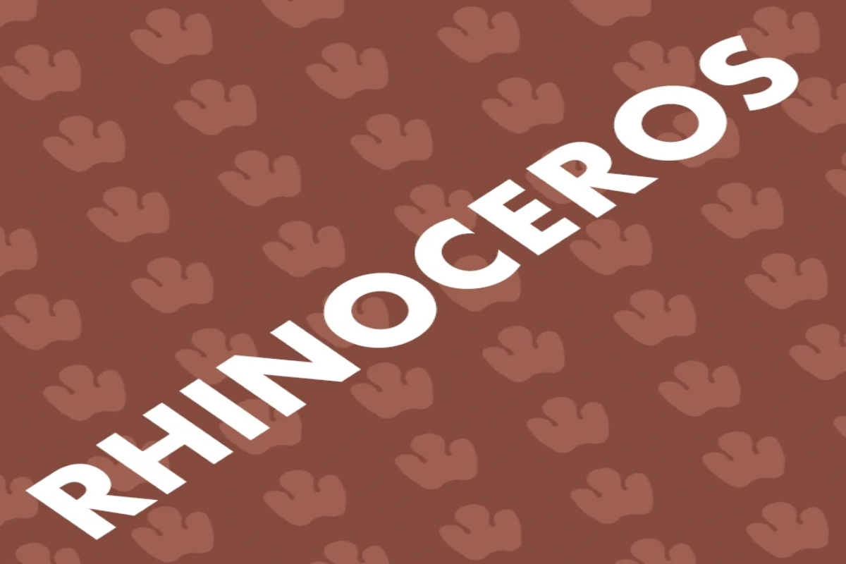 Rhinoceros Broadway