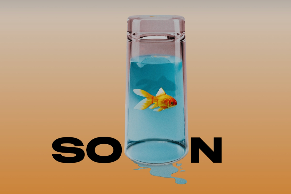 Soon Off-Broadway