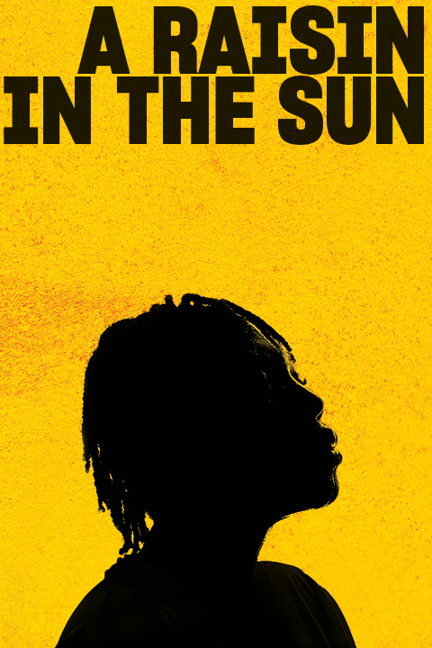 A Raisin in the Sun Show Information