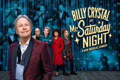 Mr. Saturday Night Broadway Show | Broadway World