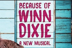 Because of Winn Dixie
