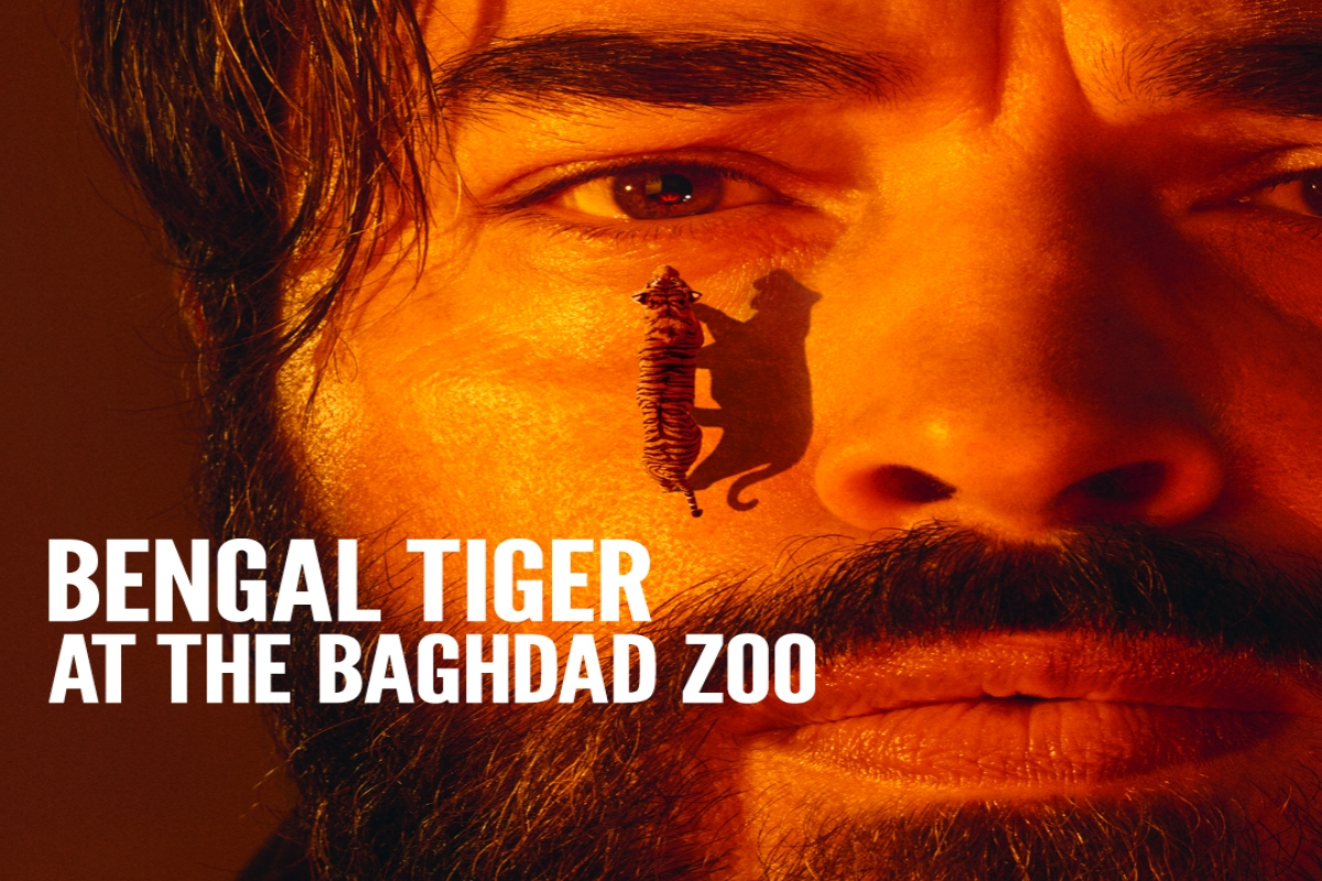 Bengal Tiger at the Baghdad Zoo West End