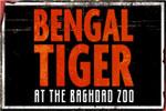 Bengal Tiger at the Baghdad Zoo