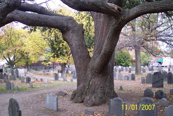 re: David Hess out of SWEENEY TODD