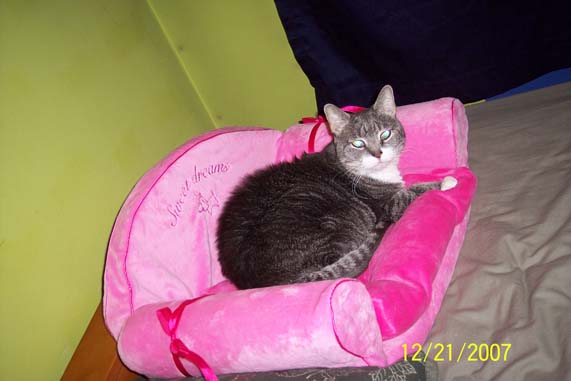 re: What Did Everyone Get For Christmas?