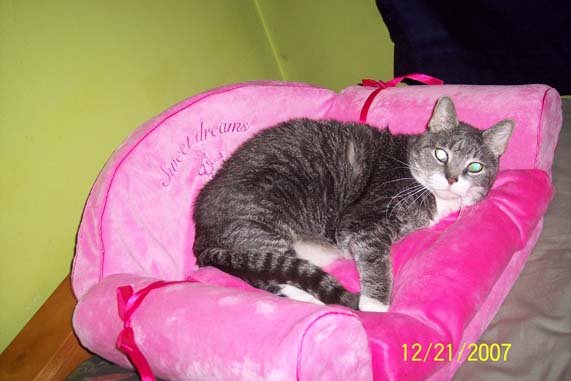 re: What Did Everyone Get For Christmas?