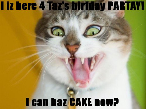 4/3, 2, 1! It's Taz's Birthday! 