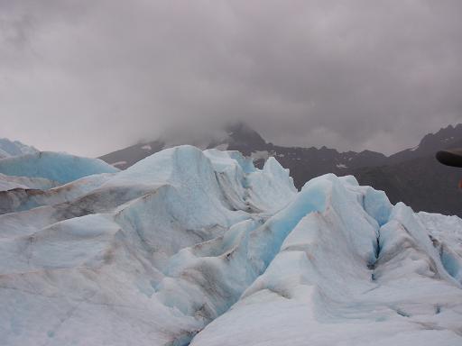 re: Holland America Cruise Line