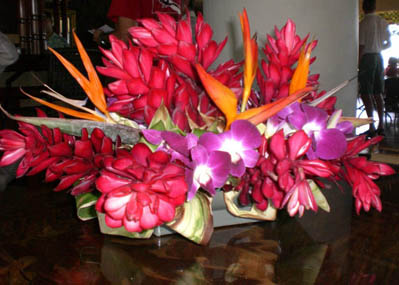 re: SOUTH PACIFIC Reviews...