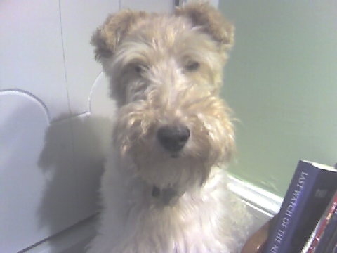 Remembering Miss Holly (June 1996 - June 2011)