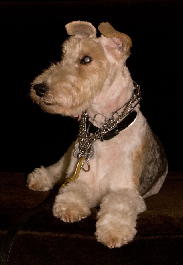 It's Miss Holly's 14th birthday today