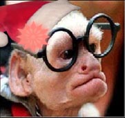 re: Farewell, My Jaystarr Avatar