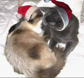 re: Farewell, My Jaystarr Avatar