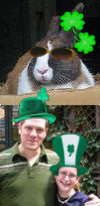 re: For all Irish posters here and others....