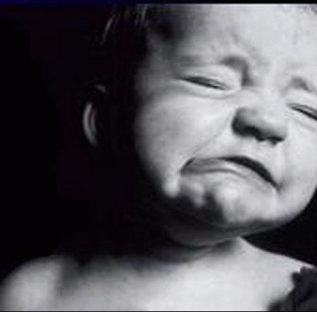 re: Has anyone read the poetry of Amy Clampitt?