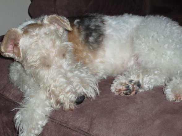 re: Congratulations to Marc Shaiman!