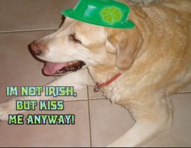 re: For all Irish posters here and others....