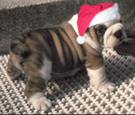 re: Farewell, My Jaystarr Avatar