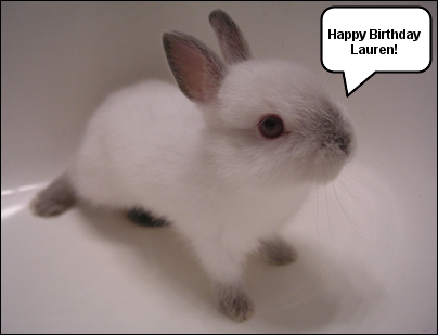 re: Happy Birthday, ABBARABBIT!