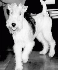 Remembering Miss Holly (June 1996 - June 2011)