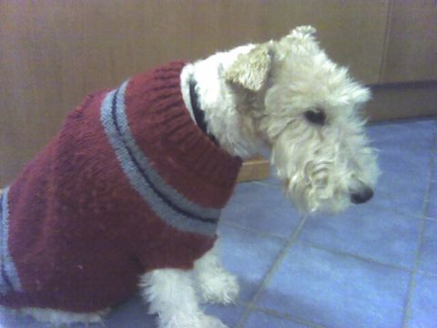 Remembering Miss Holly (June 1996 - June 2011)