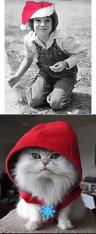 re: Farewell, My Jaystarr Avatar