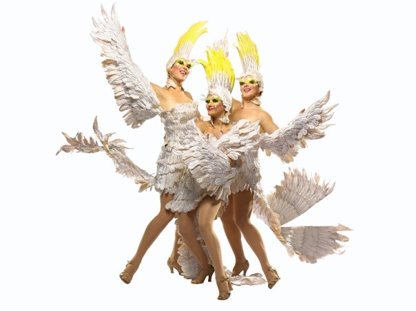 Priscilla-Queen of the Desert- Is it coming to the U.S.?