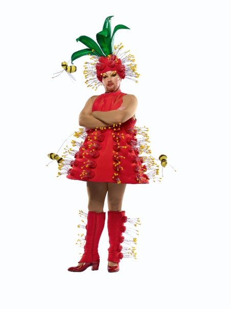 re: Priscilla-Queen of the Desert- Is it coming to the U.S.?