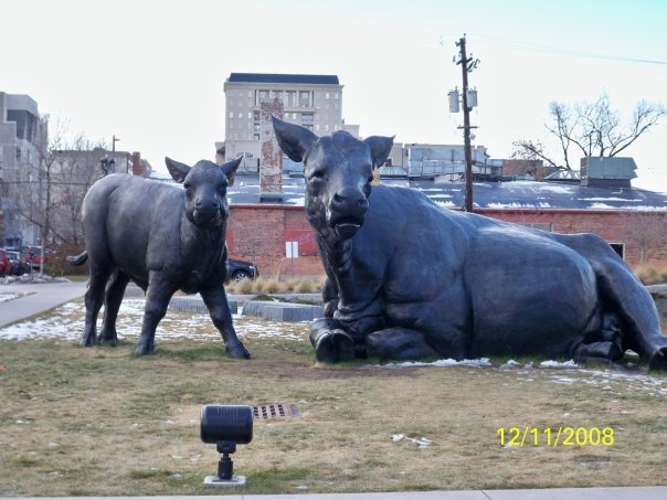 re: Photos & Stories from our trip in Utah & Colorado.