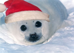 re: Farewell, My Jaystarr Avatar