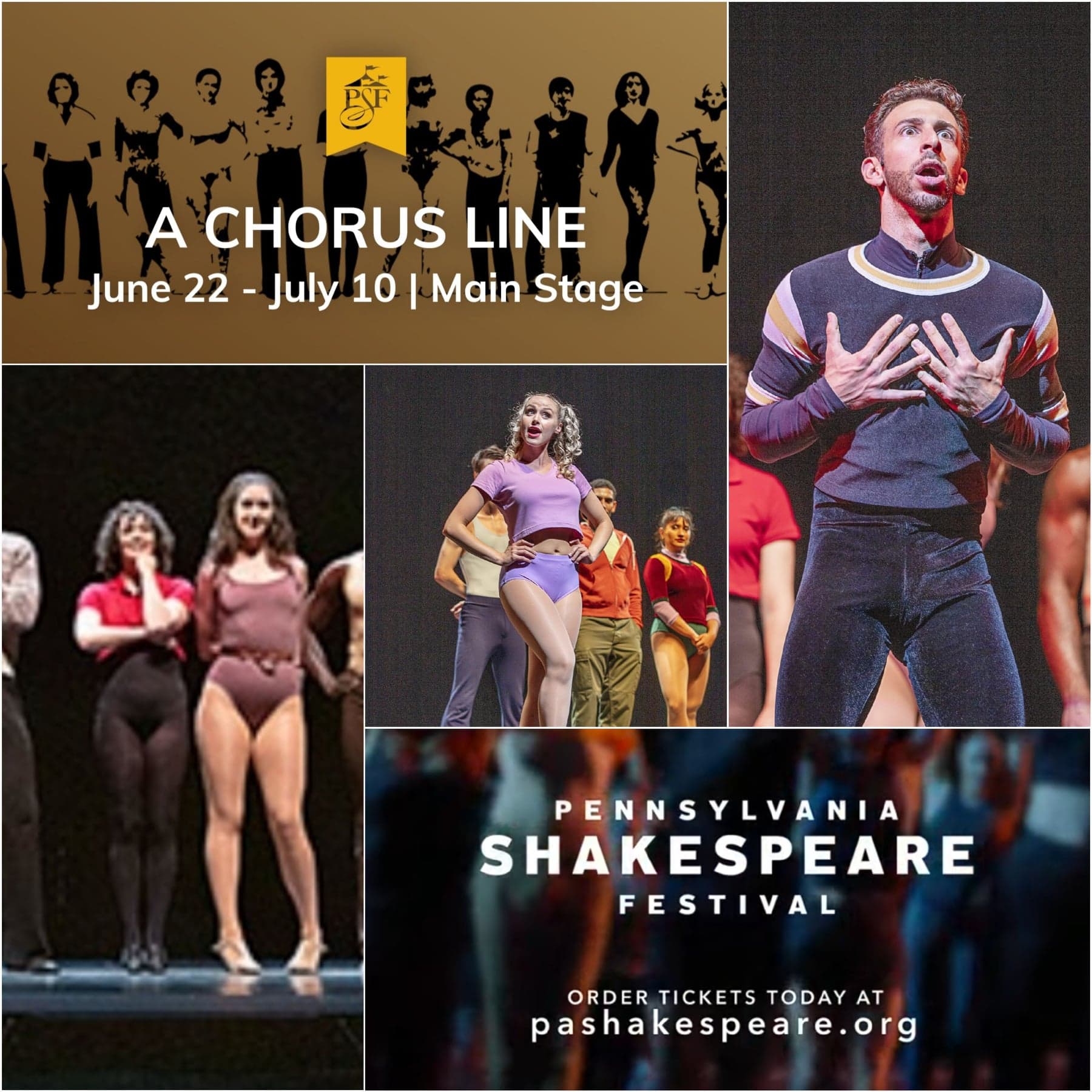 A CHORUS LINE at the Pennsylvania Shakespeare Festival