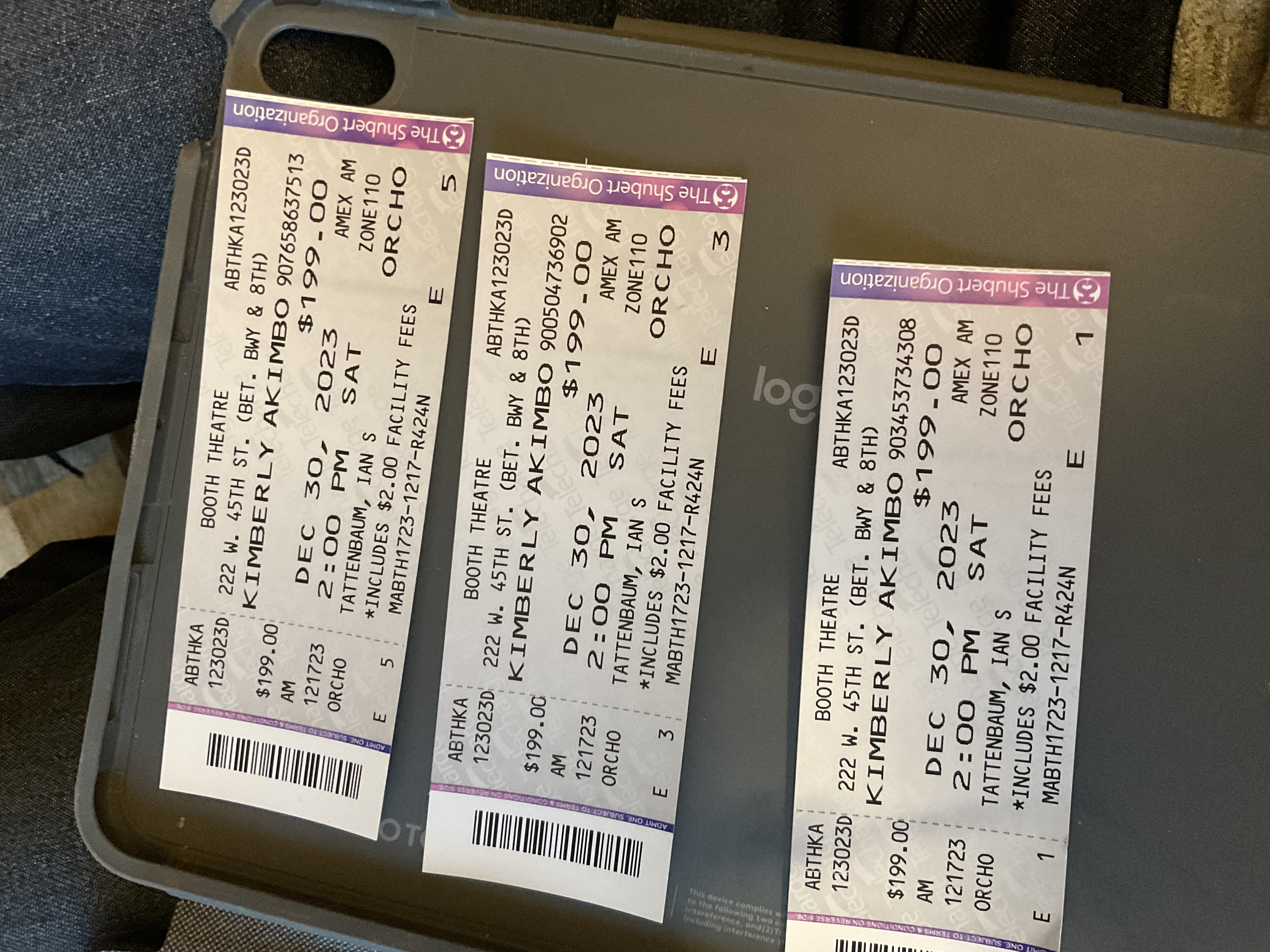 Kimberly Akimbo 12/30 matinee - below face value