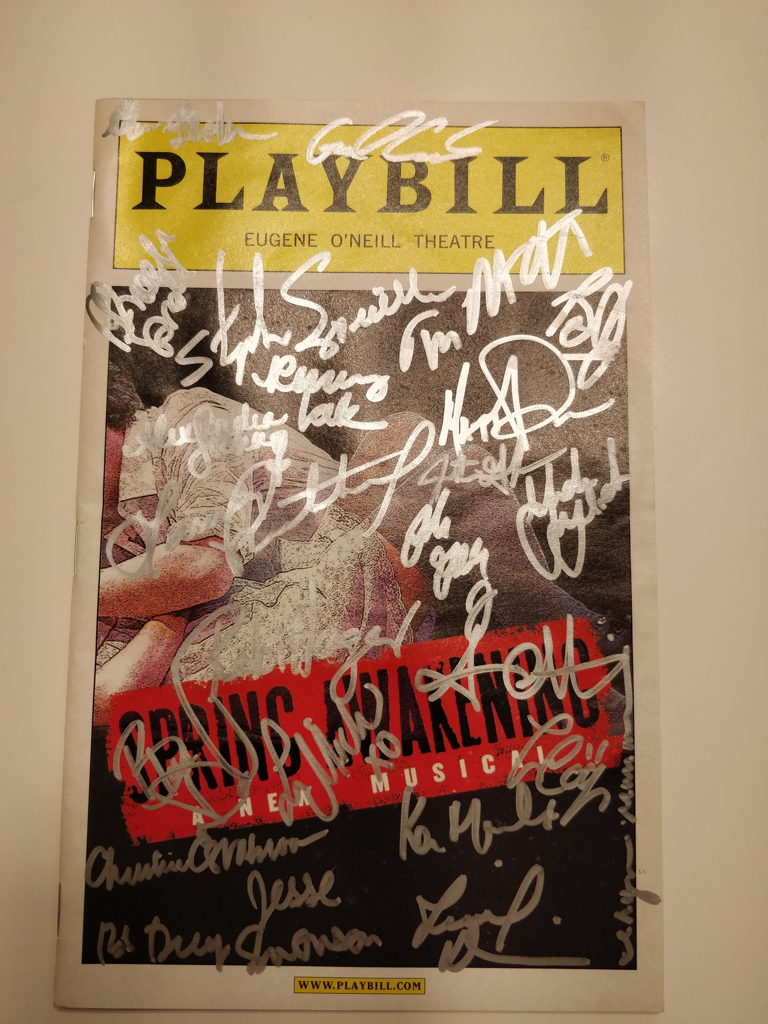 Spring Awakening Original Broadway Cast Signed Playbill & Others Reduced 