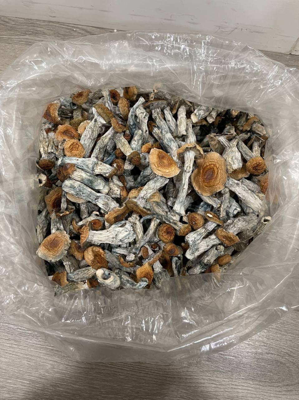 Penis Envy Magic Mushrooms For Sale