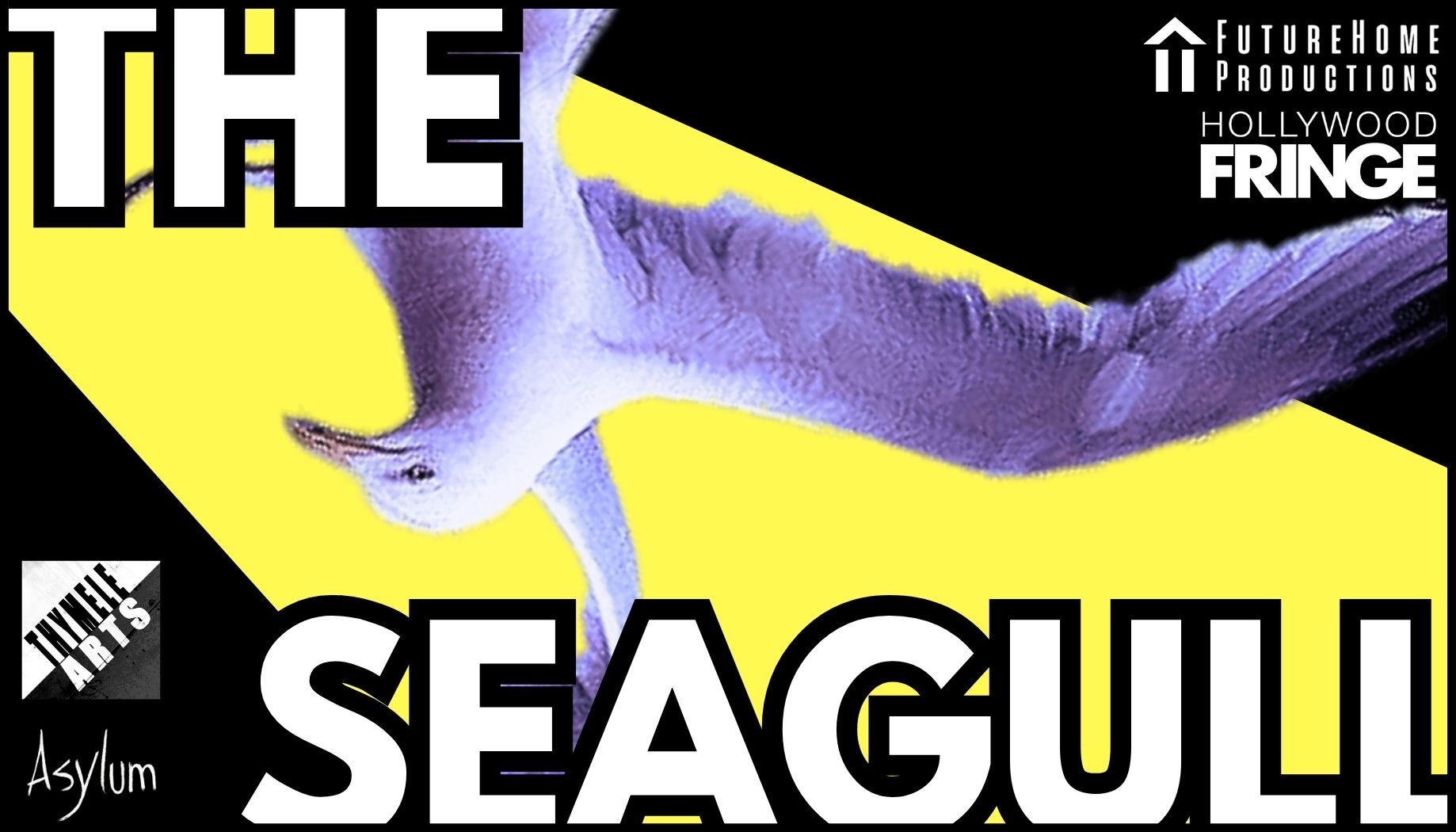 THE SEAGULL - Card Front