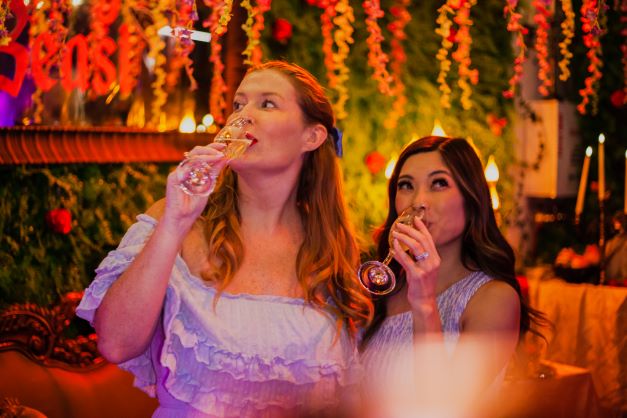 Come enjoy the wonderment of Castle Beaumont. A lavish party thrown in honor of the prince. But be careful not to overstay your welcome, the prince can be quite the BEAST.