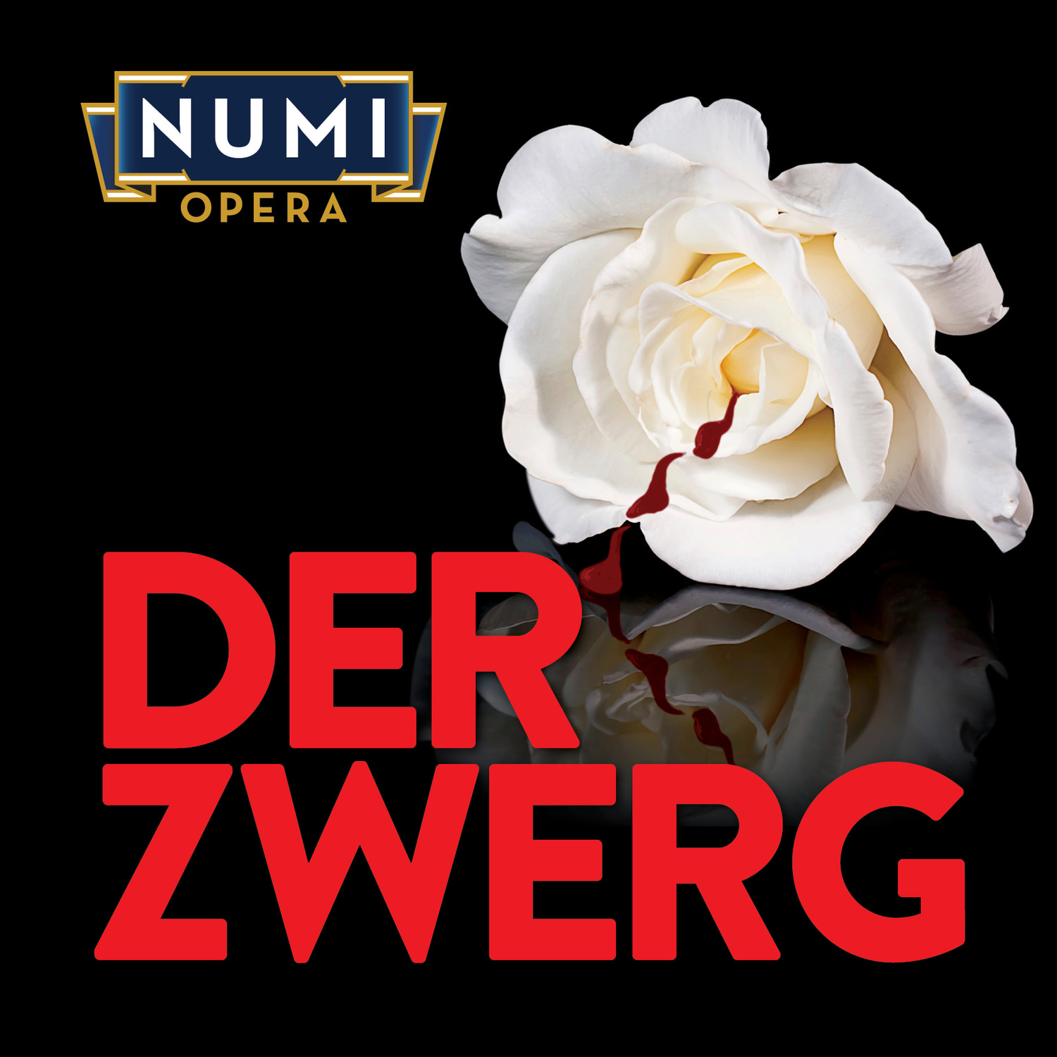 Numi Opera Presents DER ZWERG. 1