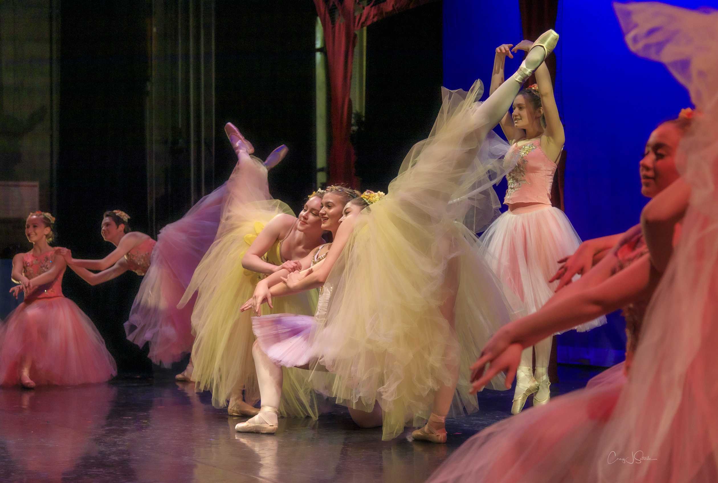 Waltz of the Flowers