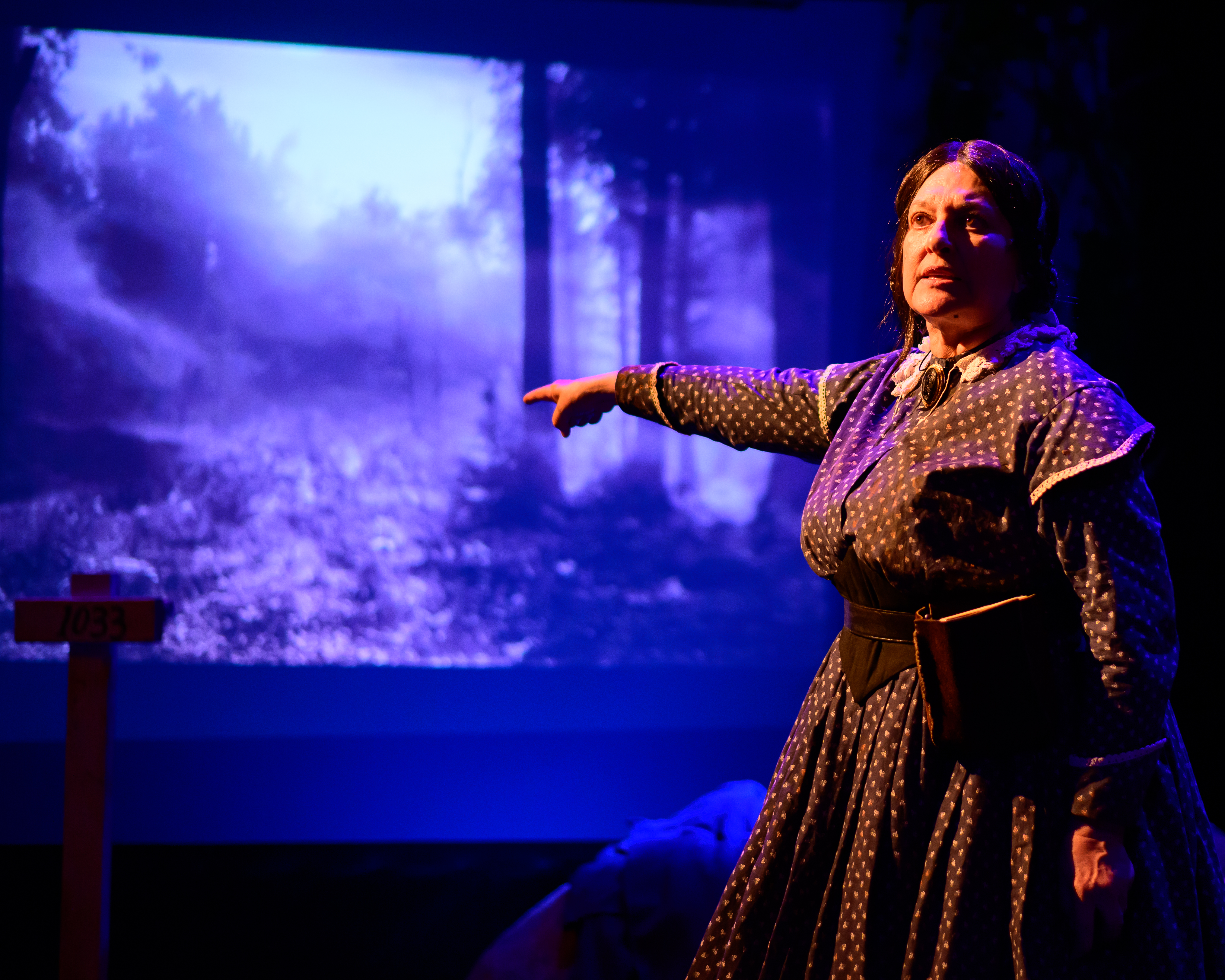 Kathleen McManus as Clara Barton (Photo credit: Jessica Fern Arts)