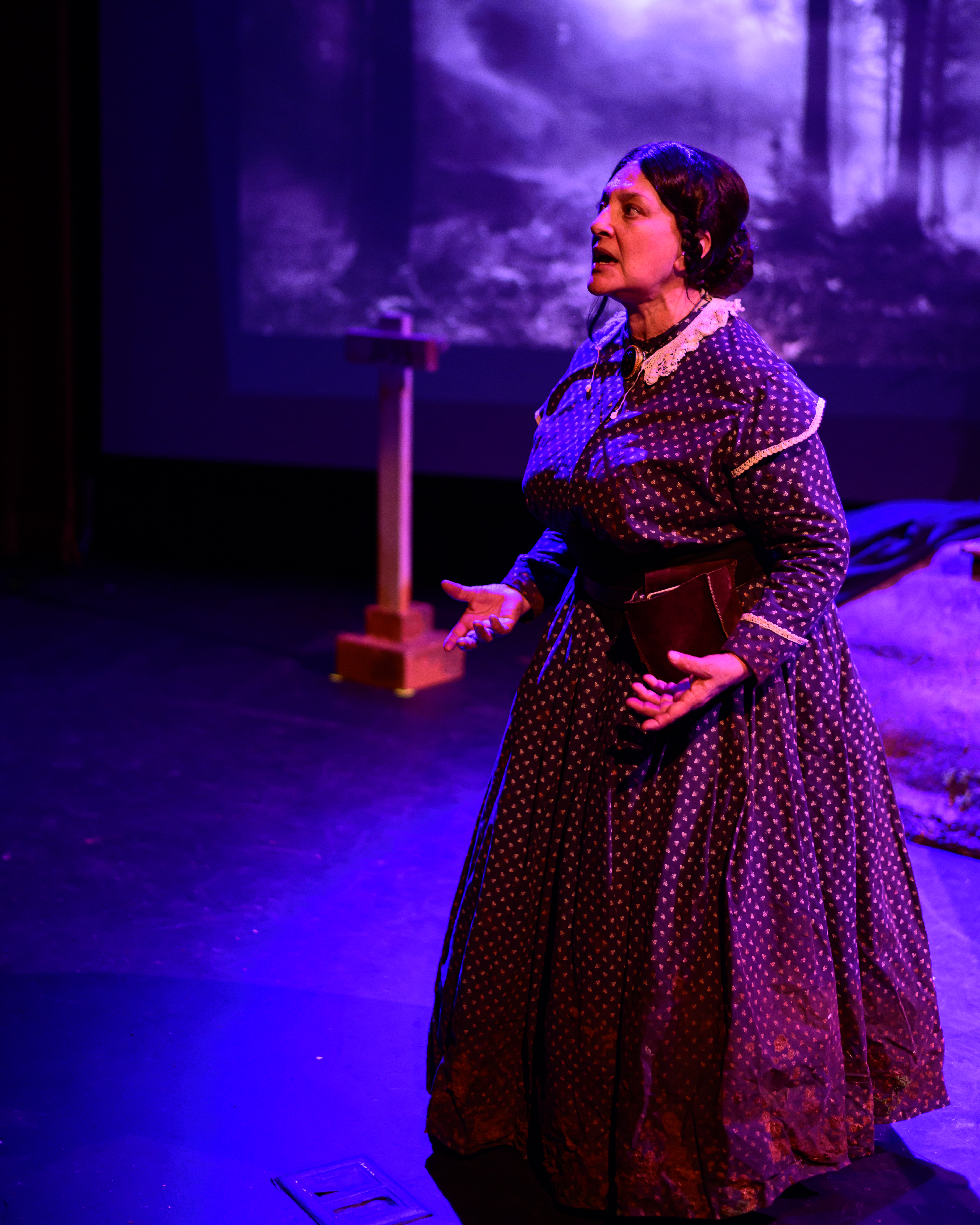 Kathleen McManus as Clara Barton (Photo credit: Jessica Fern Arts)