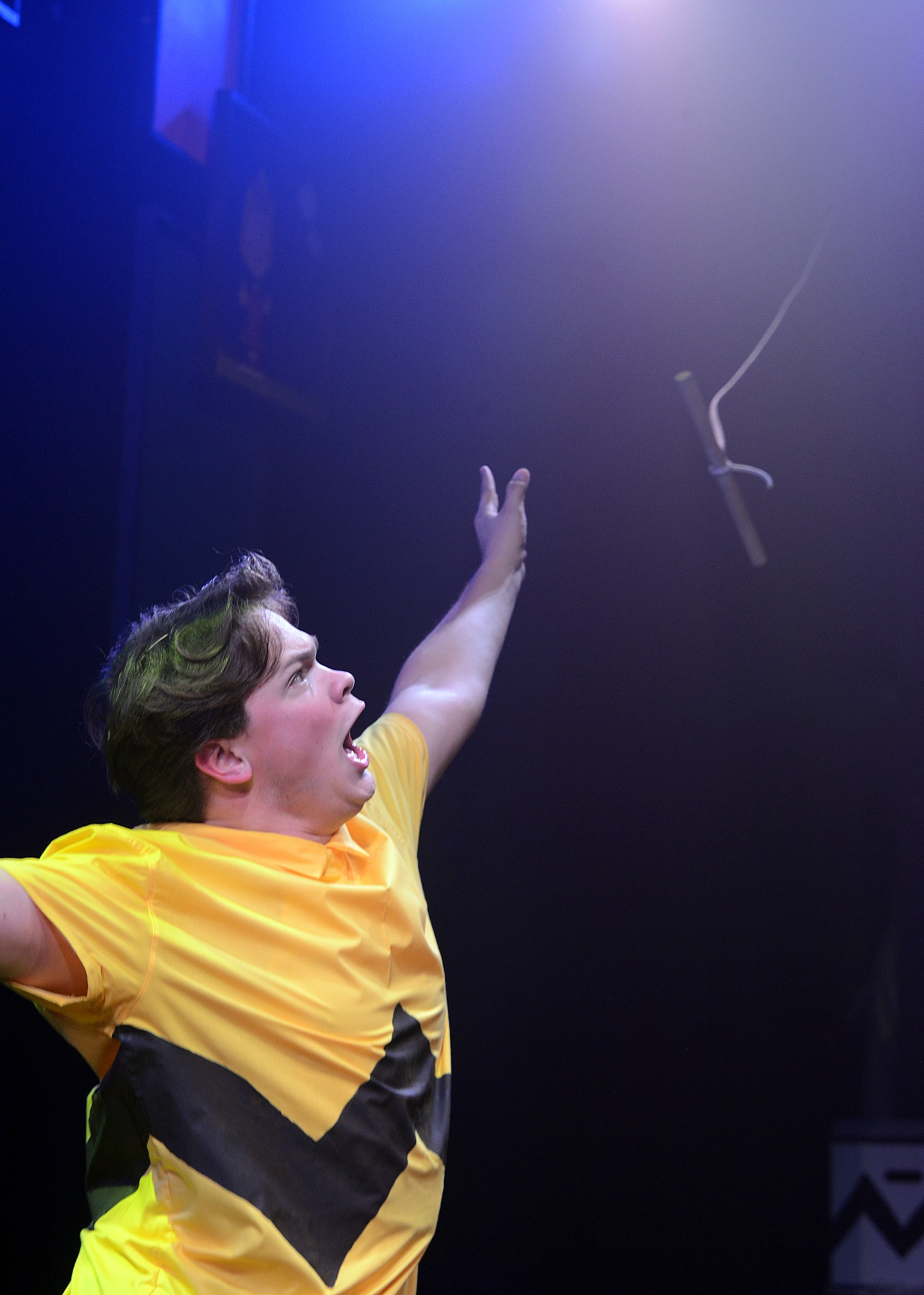 Jackson Nichols as Charlie Brown flying his kite.