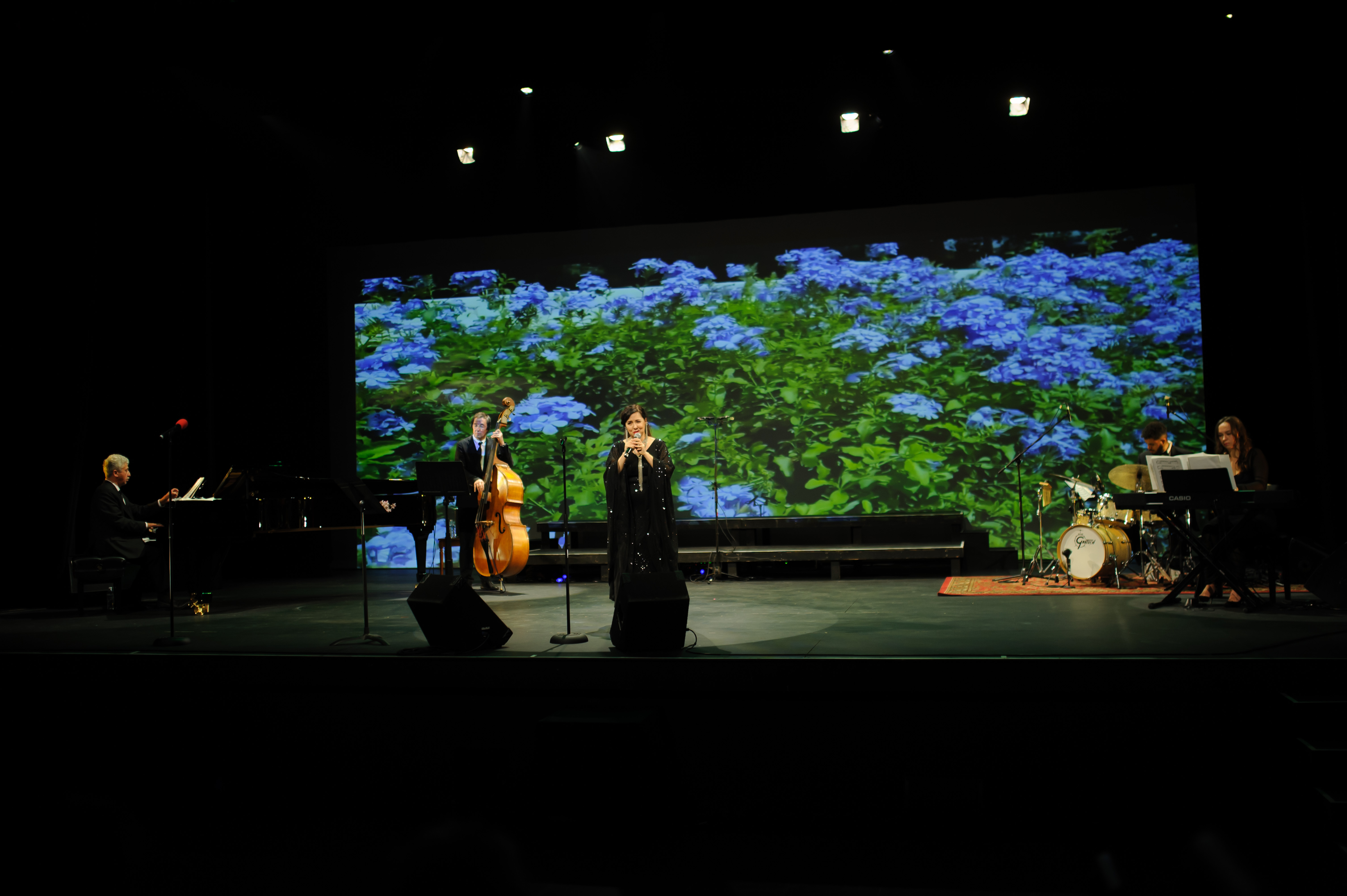 Giant video projections add to the show ambiance