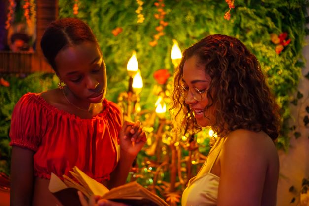 Come enjoy the wonderment of Castle Beaumont. A lavish party thrown in honor of the prince. But be careful not to overstay your welcome, the prince can be quite the BEAST.