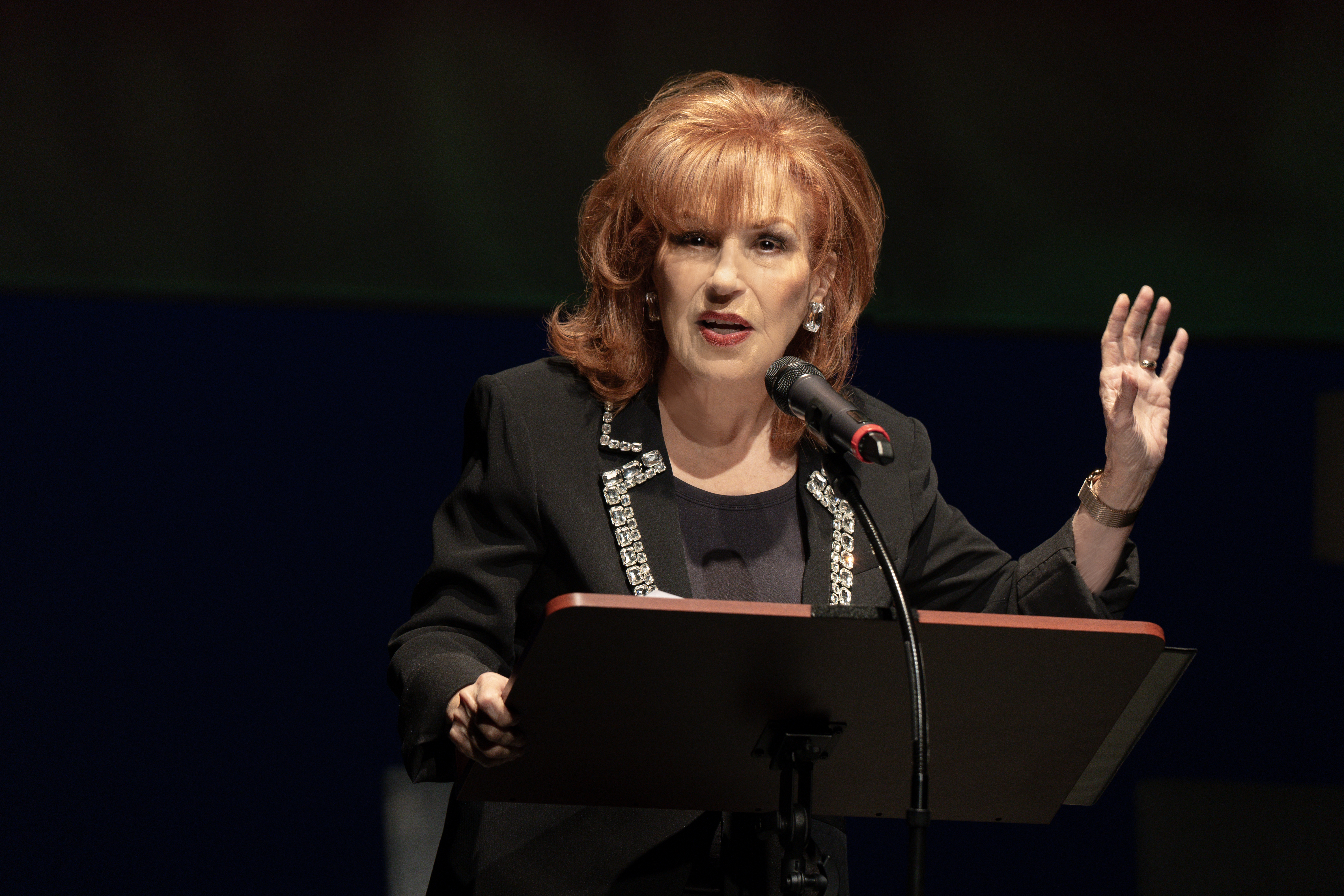 Joy Behar (credit Joan Marcus)